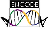 ENCODE Project