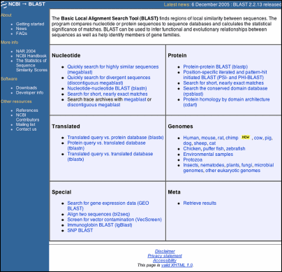 Picture of BLAST Web site