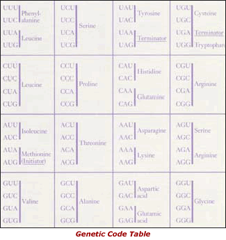 Genetic Code Table