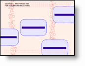 Preparing DNA for Sequencing