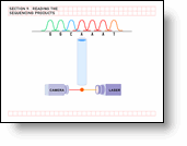 Reading the Sequencing Products