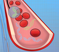 Blood vein with DNA helices