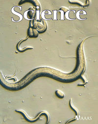 c. Elegans Nature Cover