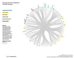 Co-occurence of mutations in 200 AML samples