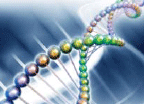 DNA helix