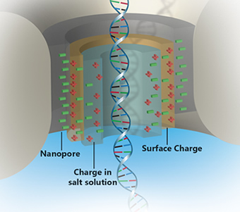 Nanopore