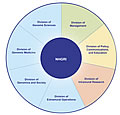 Reorganization pie chart