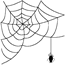 Spider web