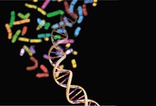 DNA double-helix with chromosomes