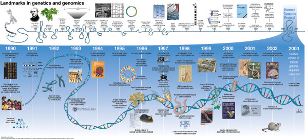 Figure 1 Timeline