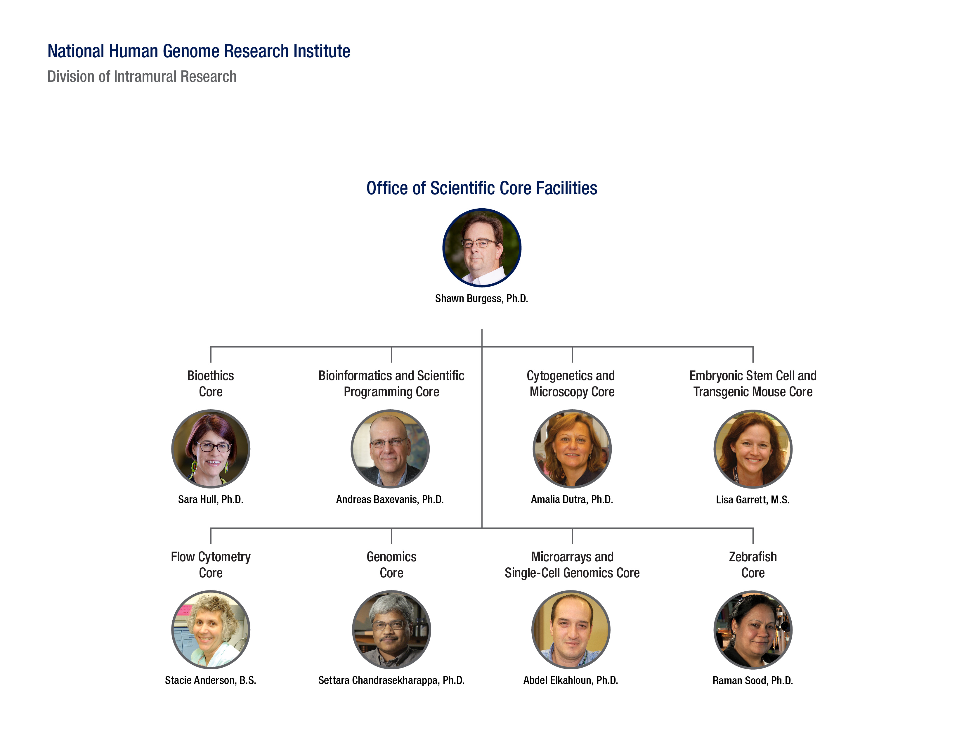 OCSF Org Chart