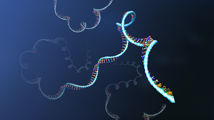 Ribonucleic Acid (RNA)