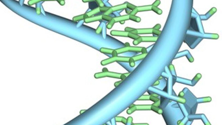 RNA biology