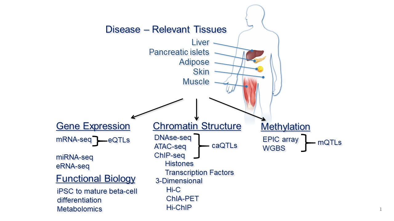 Disease-Relevant Tissues