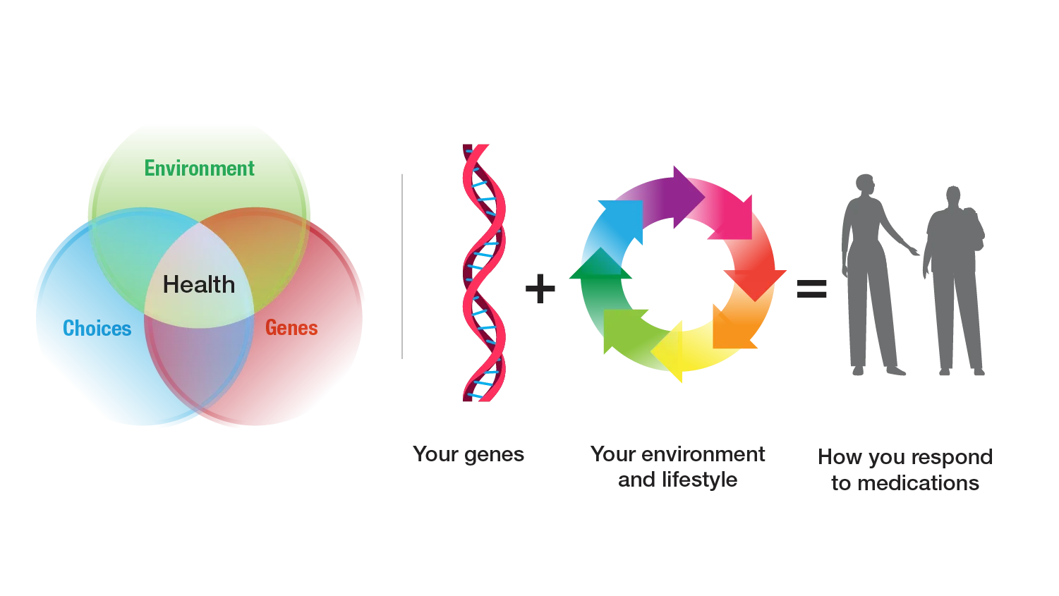 Your environment, genes and choices affect your health.