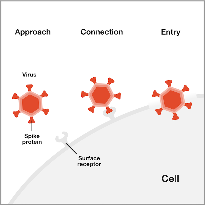 Virology infection