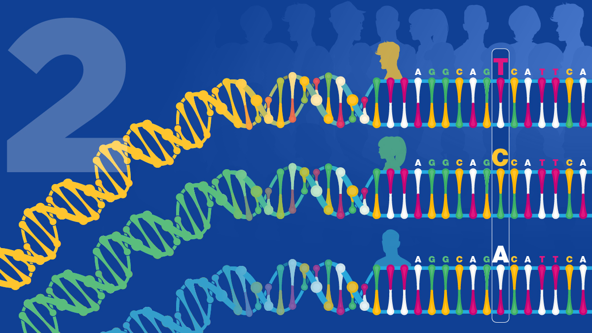 Human Genomic Variation