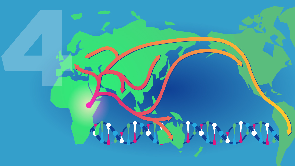 Human origins and ancestry