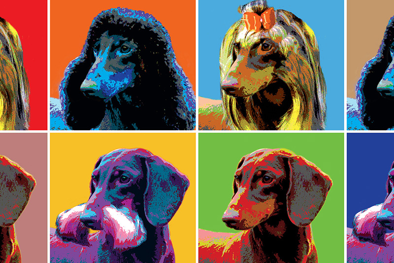 dog art