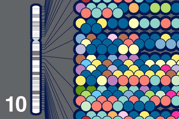 GWAS graphic