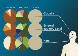 Microbe artwork