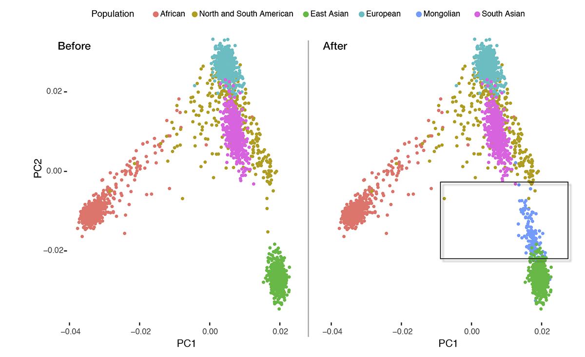 Graph showing genetic relatedness of world populations.