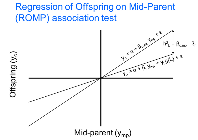 ROMP Association Test