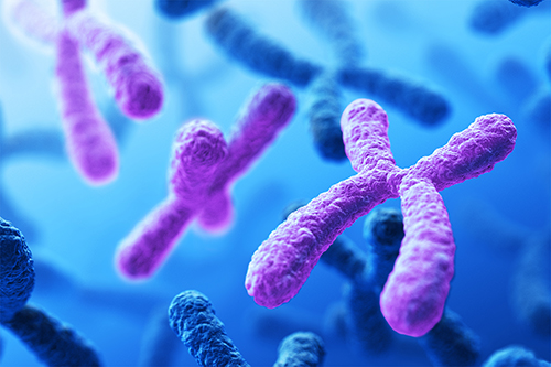 Trisomy, illustrated here, is a genetic condition commonly tested for during pregnancy. New research suggests sequencing all 24 chromosomes to uncover other, rare disorders in pregnancy. Image Credit: Getty Images