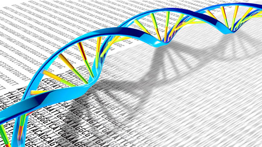 Centers for Mendelian Genomics