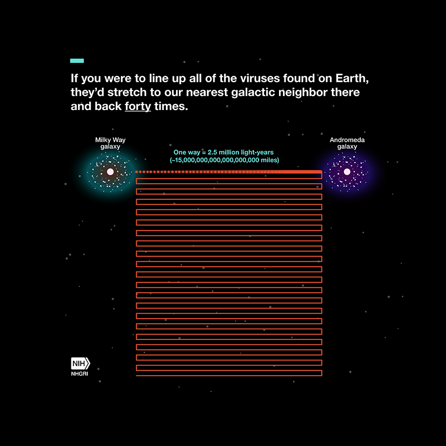 If you were to line up all viruses found on Earth, they'd stretch to our nearest galactic neighbor there and back 40 times.