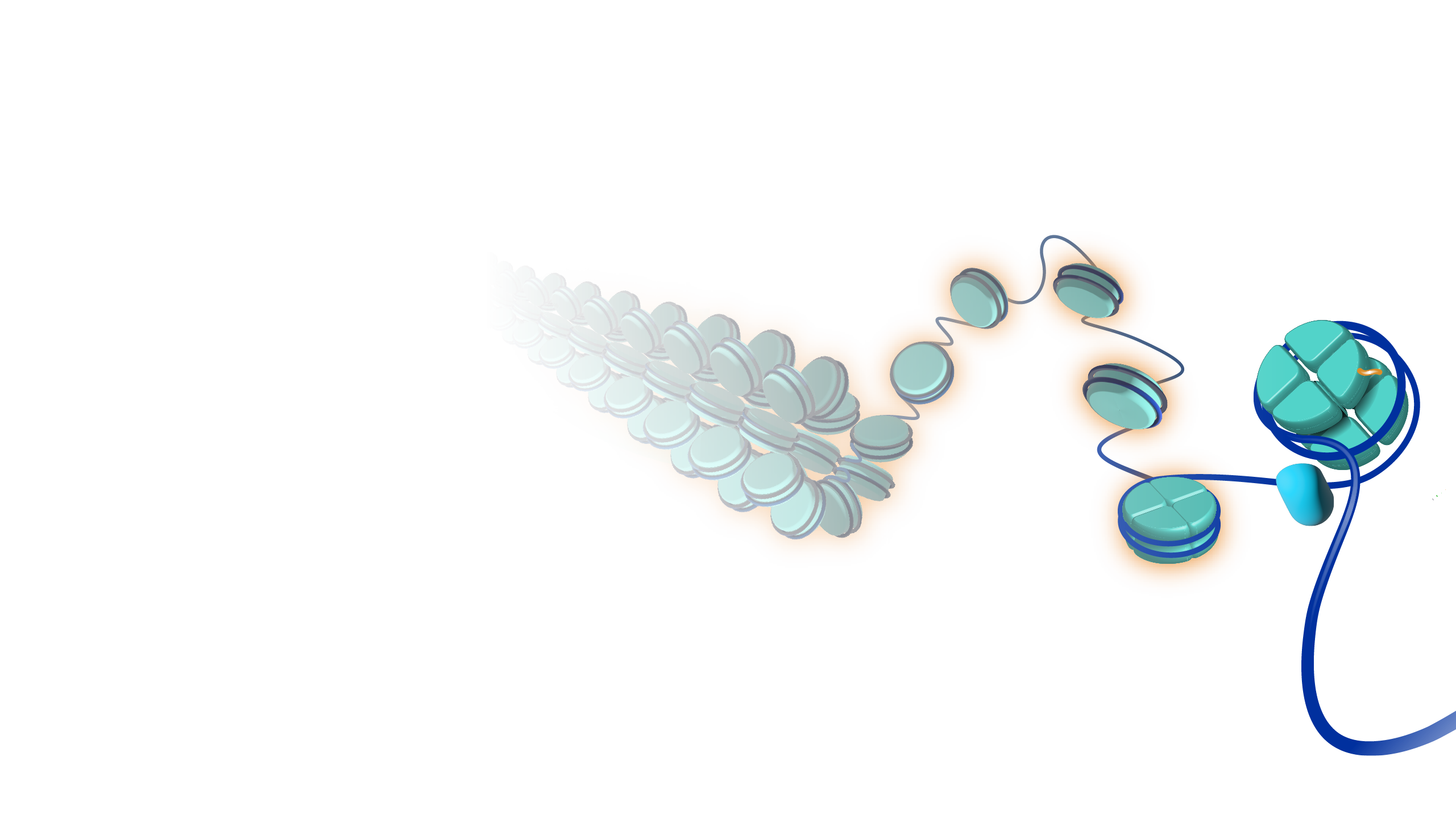 Generic Nucleosomes