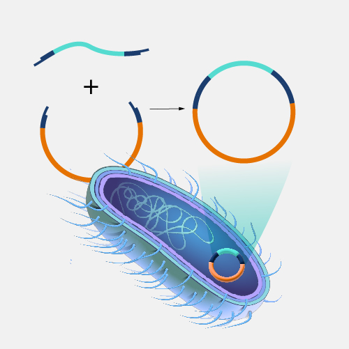 Recombinant-DNA-technology_dyn.jpg