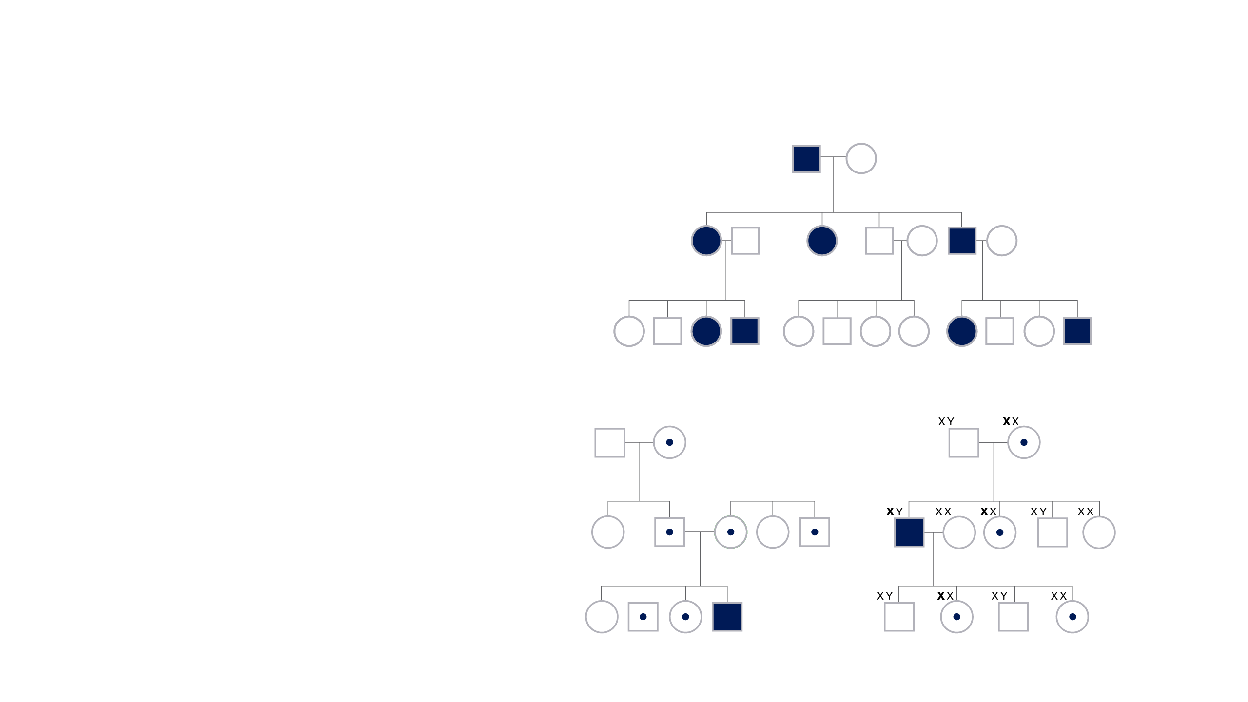 Mendelian Inheritance