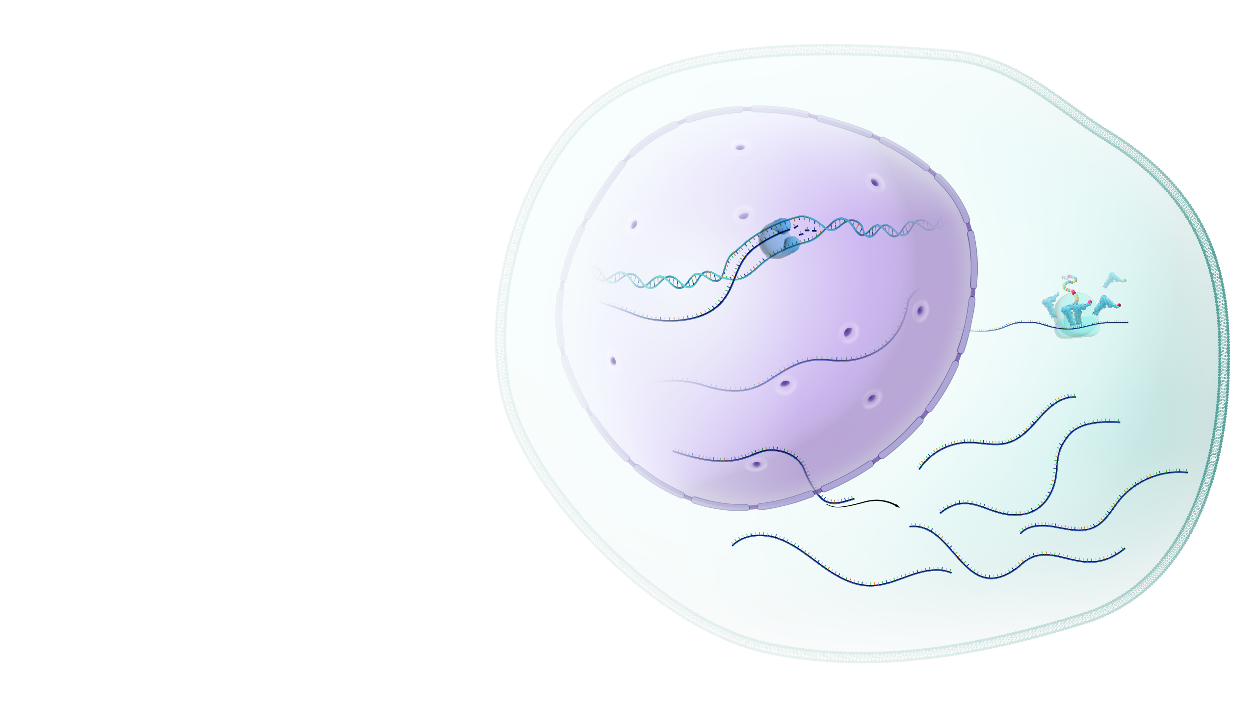 Gene Expression