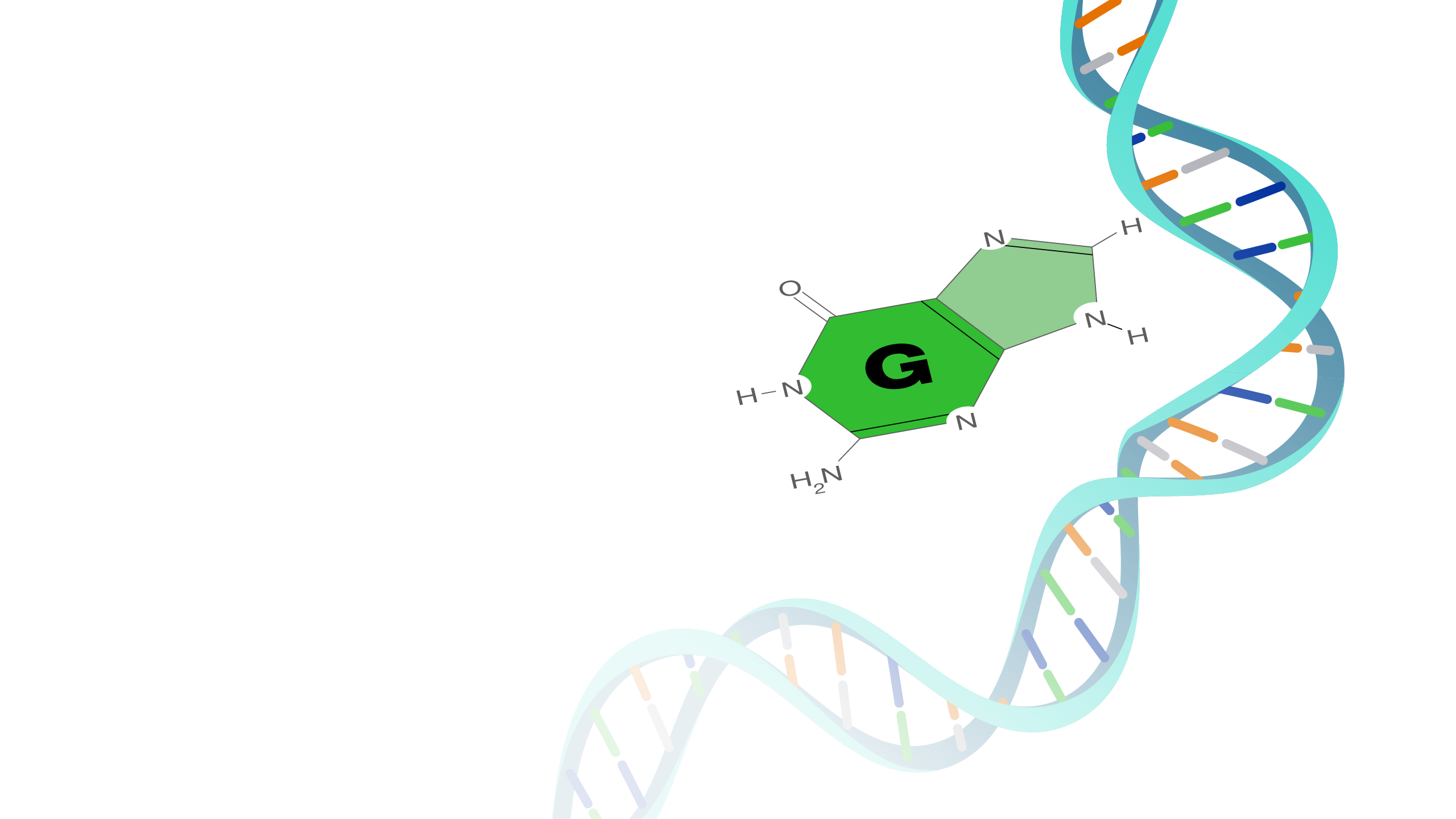 Guanine