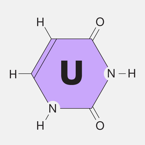 Uracil