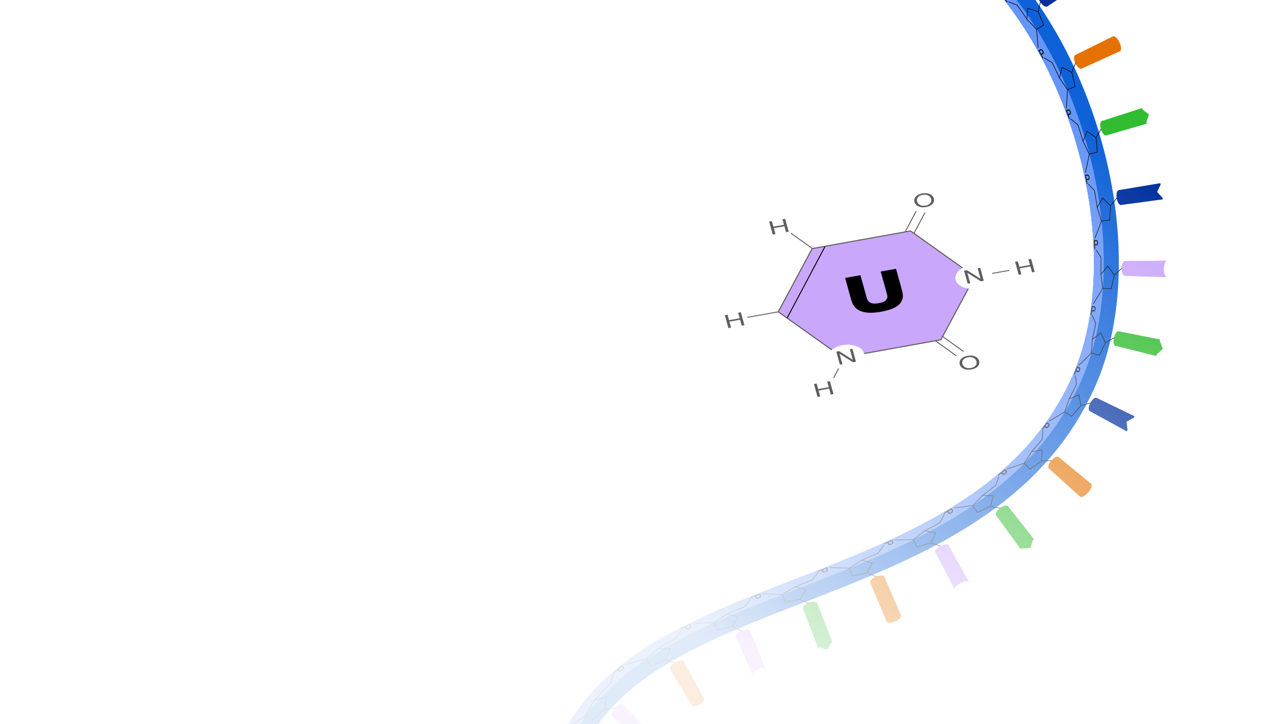 Uracil