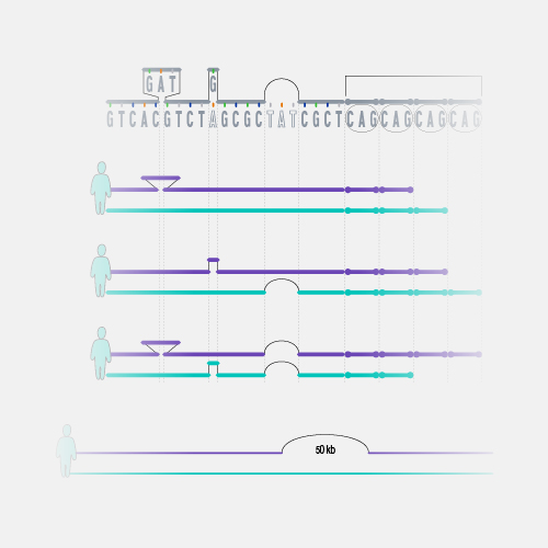 Genomic Variant