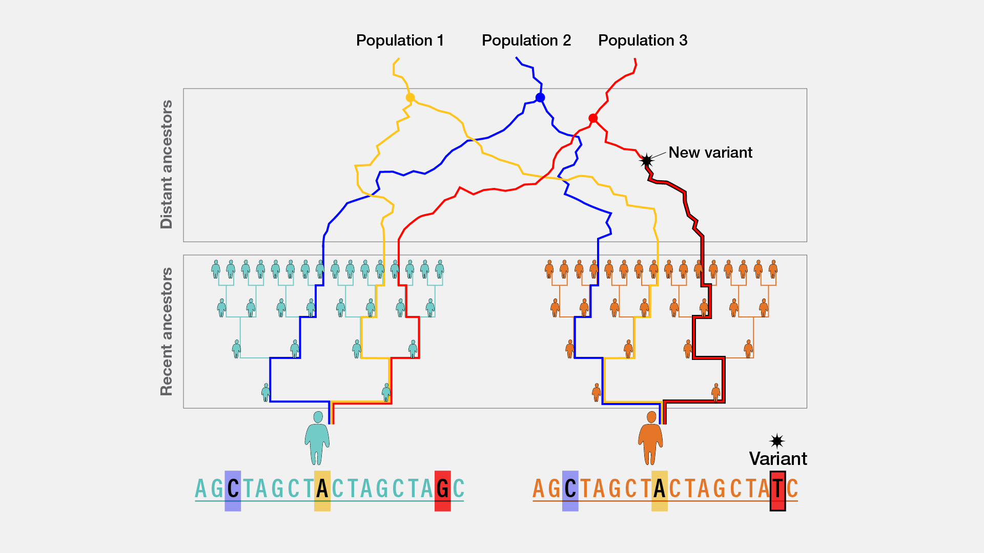  Local Ancestry