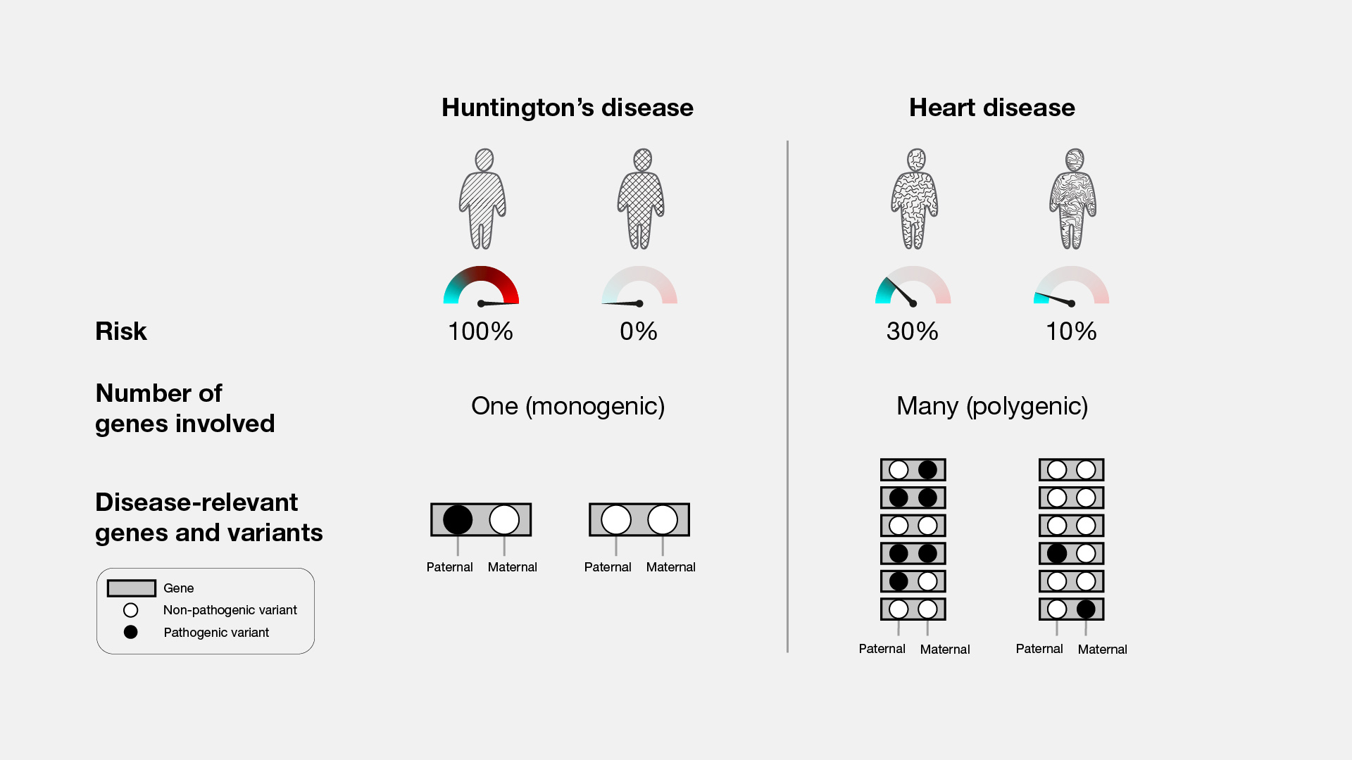  Pathogenic Variant