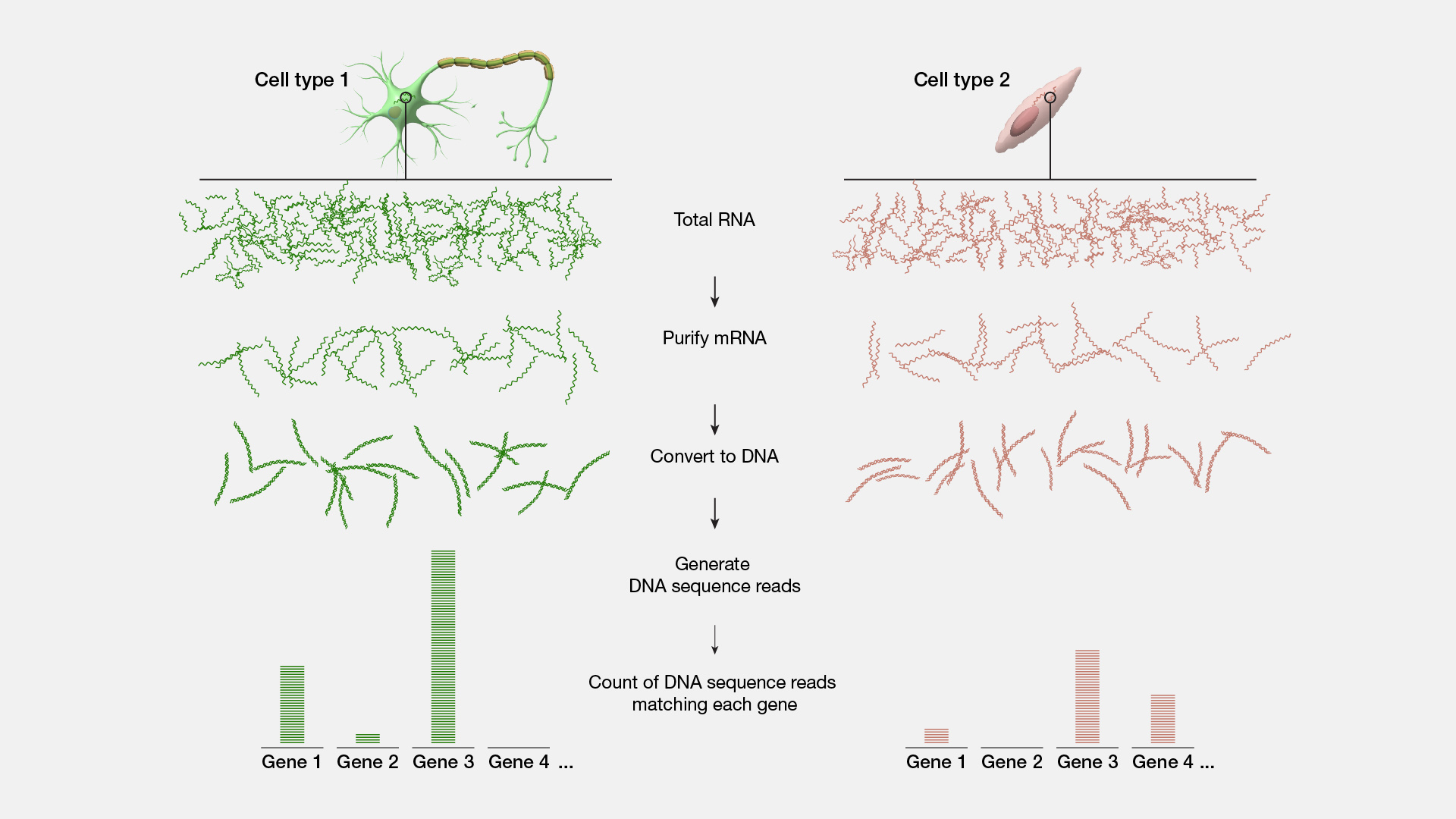  RNA Sequencing