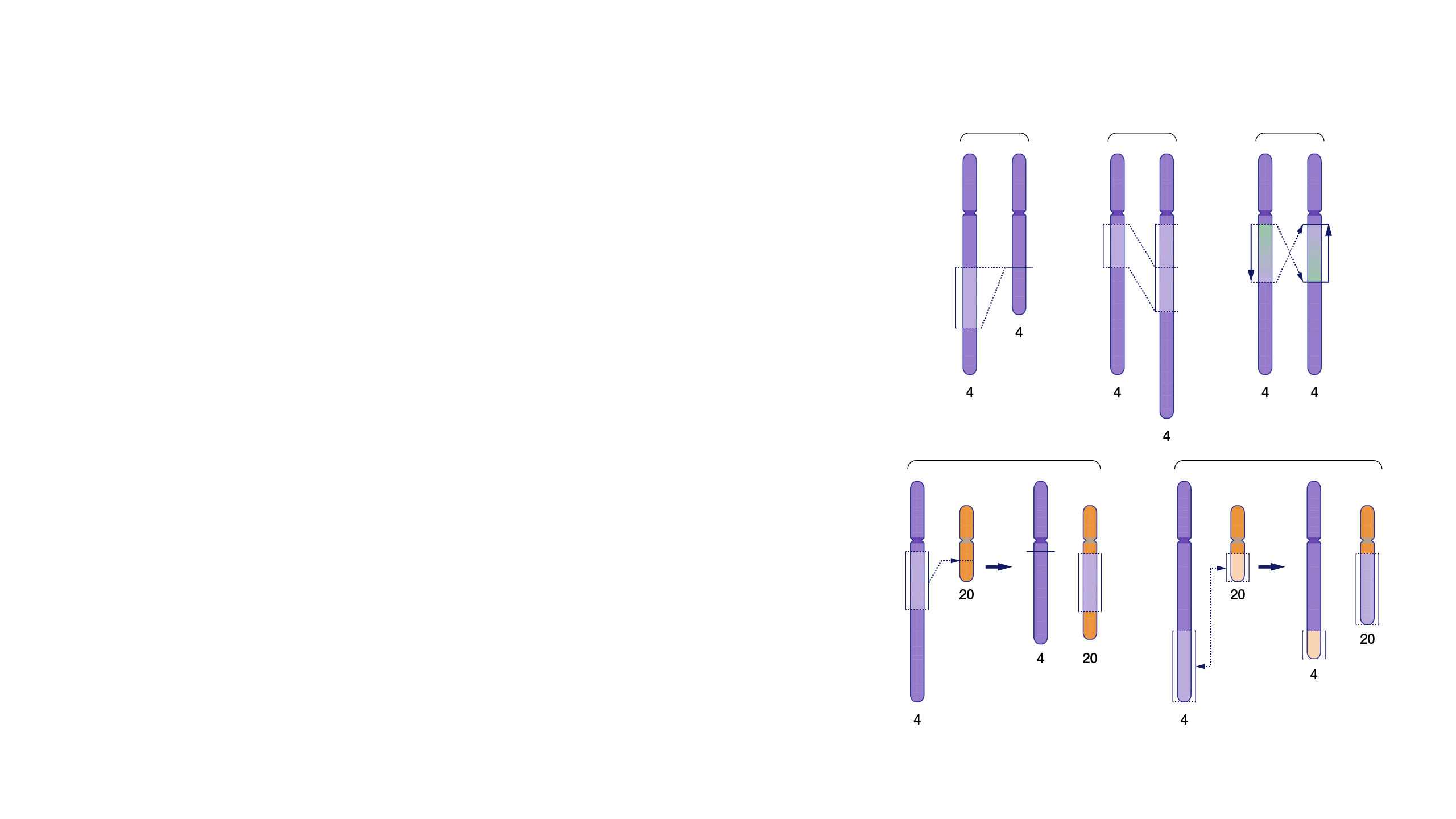 Structural Variation