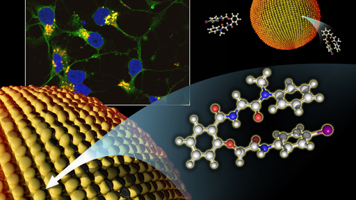 rare disease molecules