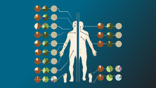 skin microbiome