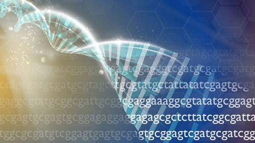 DNA RNA Sequence