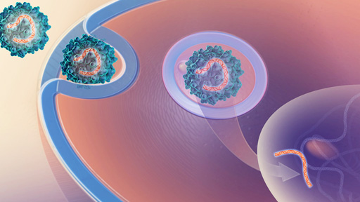 Gene therapy inserted in to cell