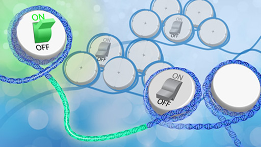 Cells with on and off switches