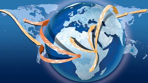 Migration from Africa on a map with double helix