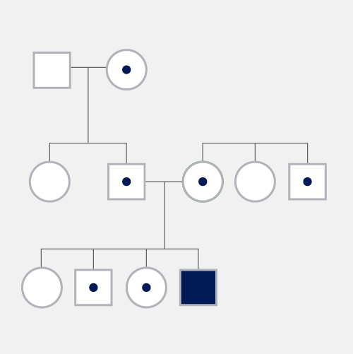 Automsomal-Recessive-Disorder_dyn