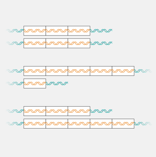 Copy-number-variation_dyn